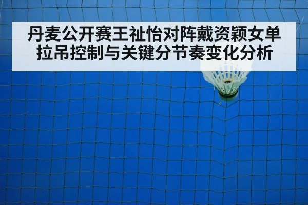 badminton net shot